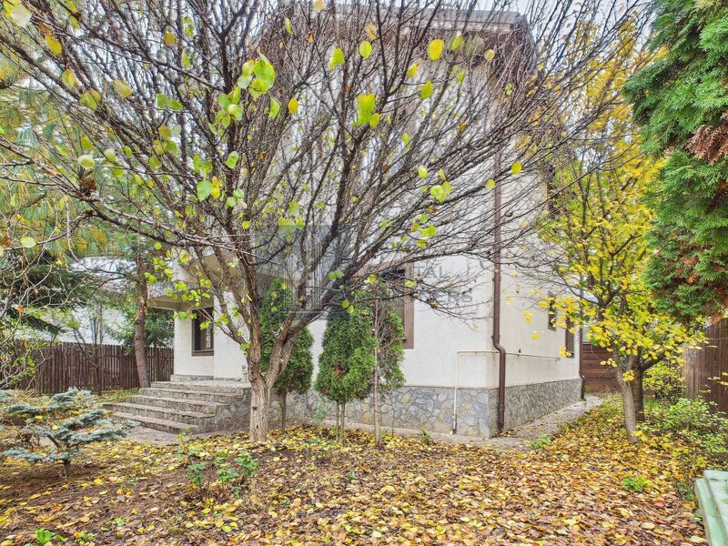 Branesti casa spatioasa de vanzare, gata de mutat, cu curte